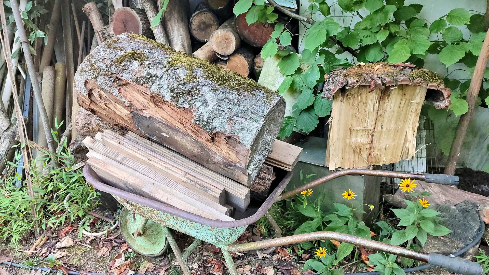 Очередной привоз деревяшек для поделок. смотреть онлайн