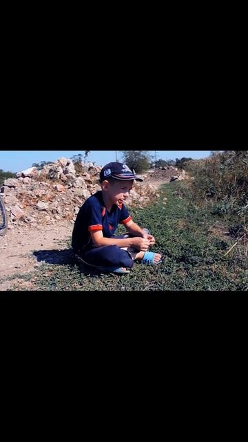 Нападение собаки на велосипедиста. Дельный совет смотреть онлайн