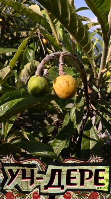 Здесь дышится иначе смотреть онлайн