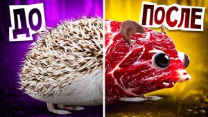 ХРЕНОБУС МЕНЯЕТ ТЕКСТУРЫ