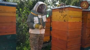 МАТКА ПОМОЩНИЦА. ИТОГИ МЕДОСБОРА