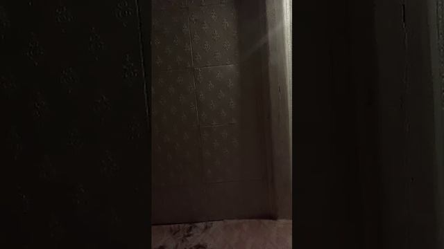 пожалуйста подпишись смотреть онлайн