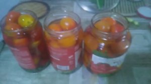 Помидоры на зиму VID_20250728_130859