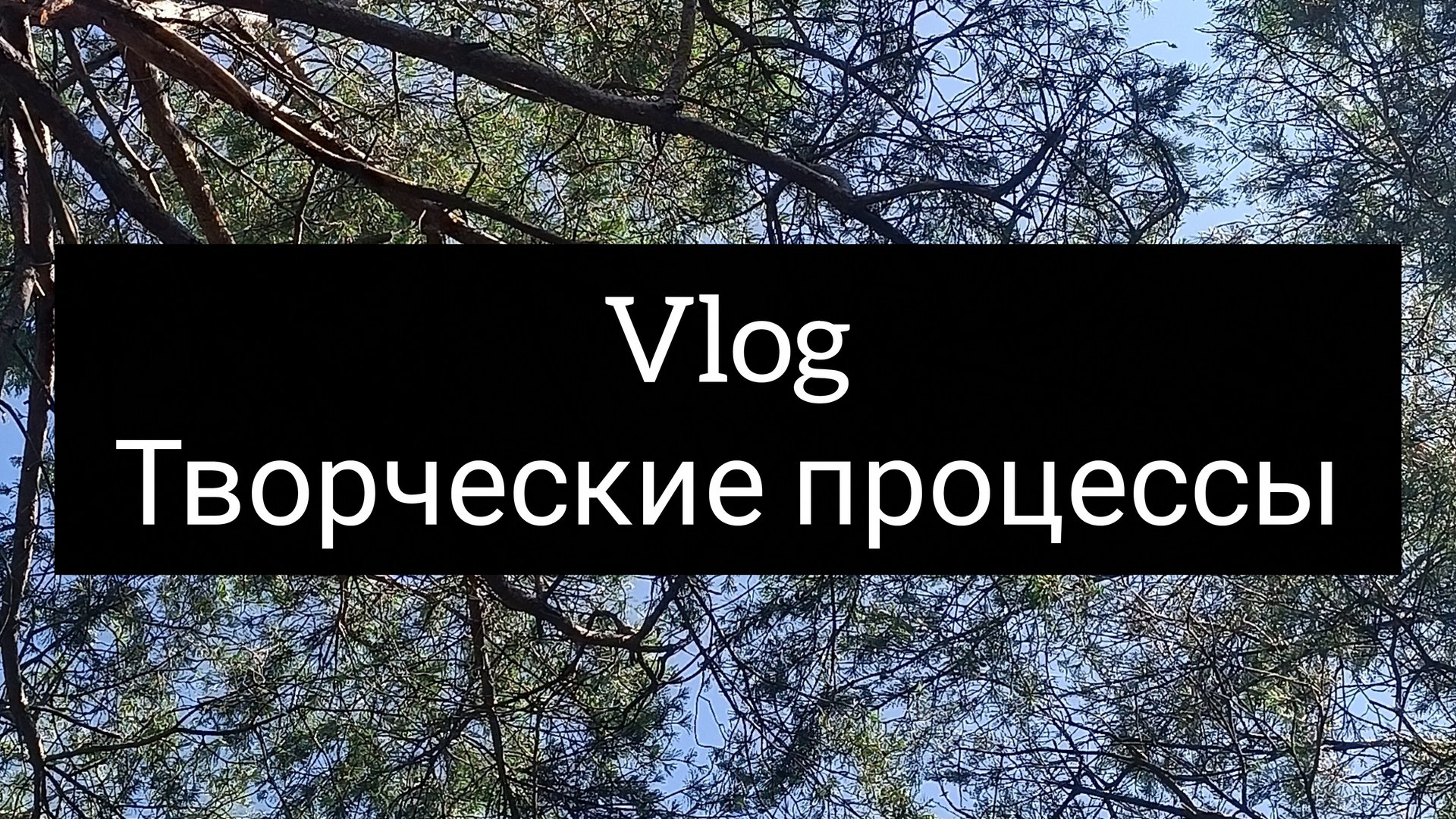 влог/продвижение процессов смотреть онлайн