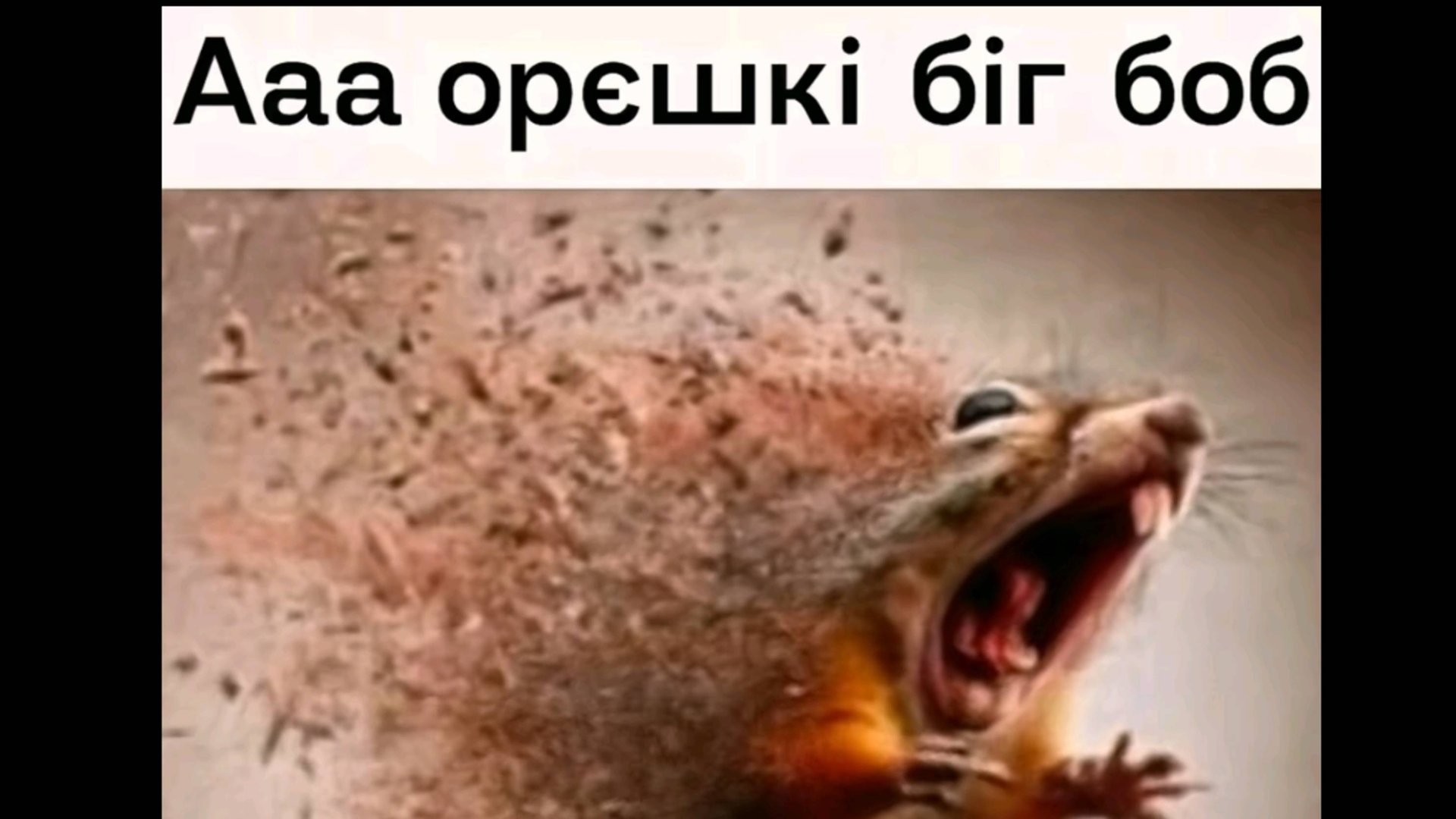 Орешки бигбоб