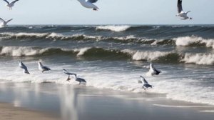 Звук моря для сна. Море.Звук морского прибоя для отдыха, релаксации и сна