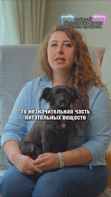 🎁Бесплатные уроки. Жми сюда! смотреть онлайн