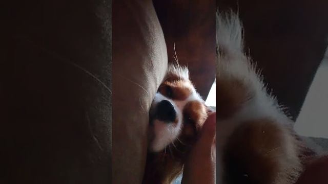 о смотреть онлайн