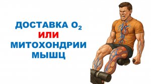 Ограничения нетренированных и тренированных людей / Обзор научного эксперимента