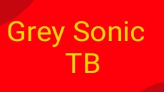 Grey Sonic TB 2