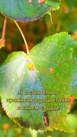 16 августа 2025 г.