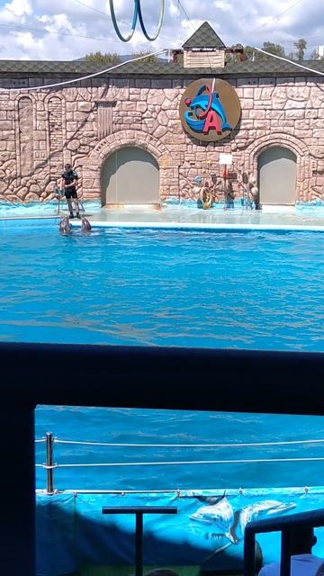 дельфинарий в Сочи