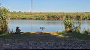 Рыба здесь дурная. Рыбалка на ФАЗЕНДЕ РЫБАКА