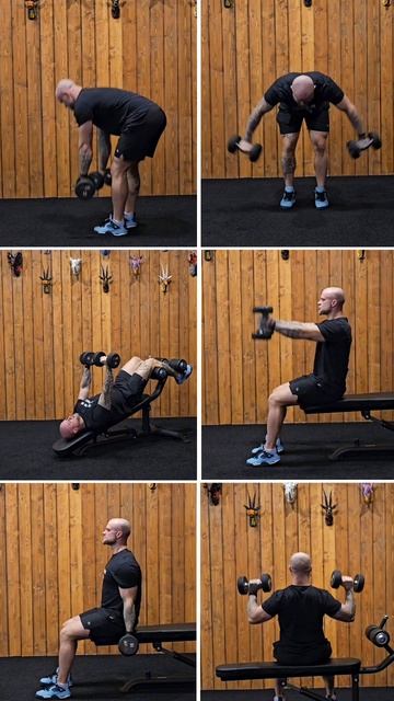 Программа тренировок. Тренировка на грудь, тренировка на спину, тренировка на плечи, тренировка.