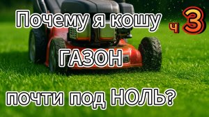 Косим низко — секрет плотного и густого газона.  часть 3.  #газон #уходзагазоном #газонокосилка