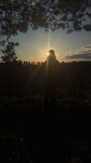 Закат, лес, булавы