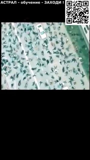 Гибель человечества. Необычное Астральное фэнтези. ИИ. Арт нейросеть. фэнтези #реальность