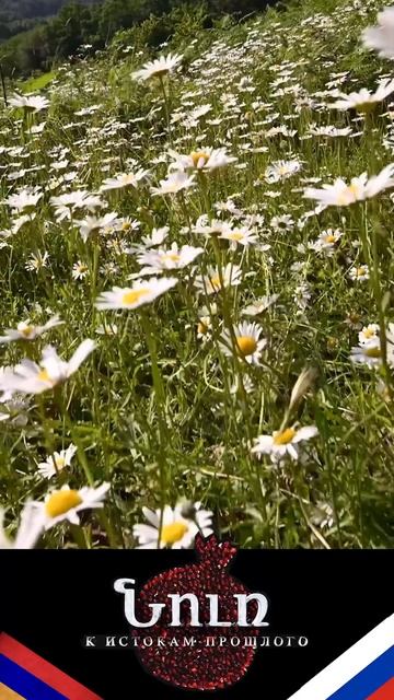 Детства моего картина смотреть онлайн