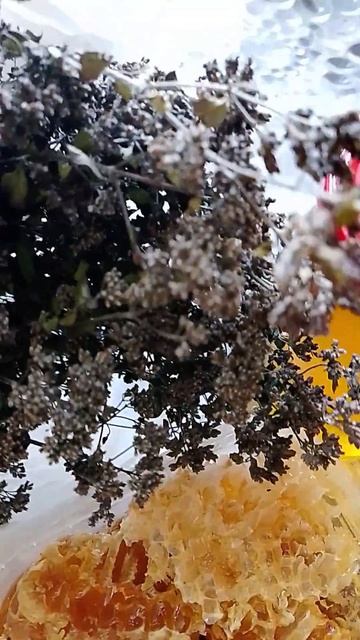 Алтайский дикий мëд😋#лето #алтай#горы#горныйалтай #гелакс#мëд#дикаяприрода #пчëлы#моменты смотреть онлайн