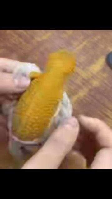 Линька особо опасного