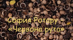 София Ротару - Червона рута