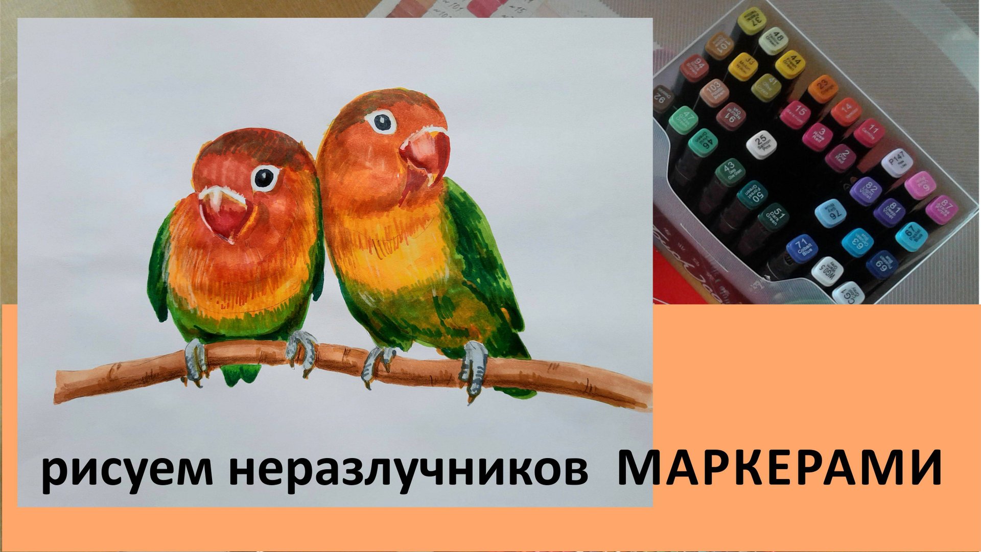 Рисуем попугаев маркерами. Draw with markers смотреть онлайн