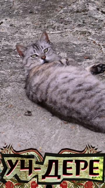 Уч-Дере Большой Сочи смотреть онлайн