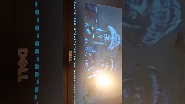 смотрю мультик и играю в компьютер смотреть онлайн