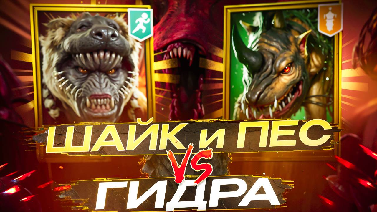 КРОУКАД и ШАЙК vs ГИДРЫ! 3 ВАРИАНТА ШМОТА для ВОЖАКА ШАЙКА! RAID SHADOW LEGENDS! #raid смотреть онлайн