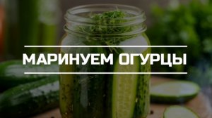 Маринуем огурцы.