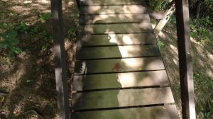 Небуг / Парк-отель Небуг / Бешенка / Квадроциклы и Дельфинарий