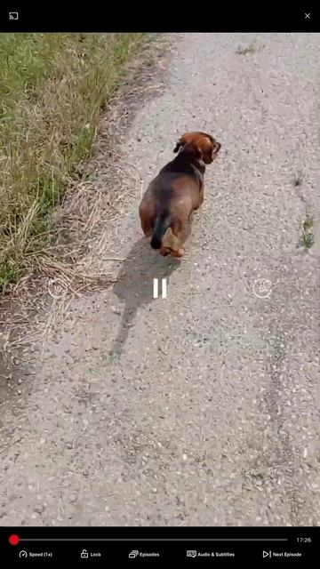 Доброе утро) смотреть онлайн
