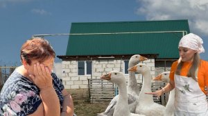 МАМИНА РОДНАЯ ДЕРЕВЕНЬКА/ОБУСТРОЙСТВО БЕСЕДКИ/МЕЛОНТРИЯ НА ЗИМУ/ БОРЬБА С СОРНЯКАМИ