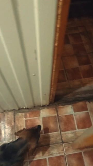 Зимний вечер в бане смотреть онлайн