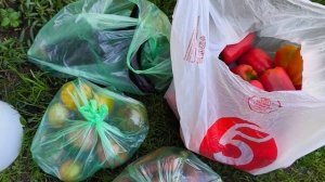 Собираемся в Москву. Очень хороший вырос перец и морковь.