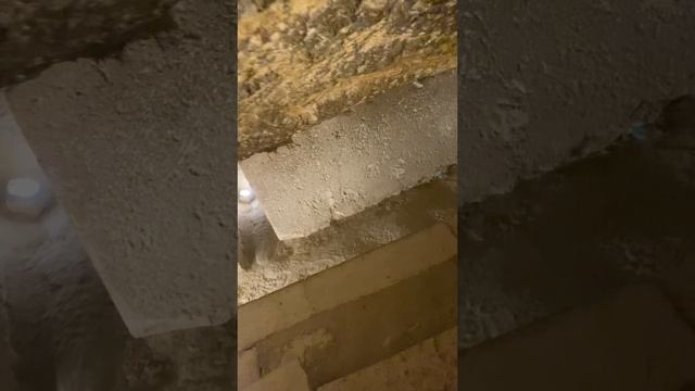 Едем смотреть пирамиды и Великого Сфинкса! / Египет смотреть онлайн