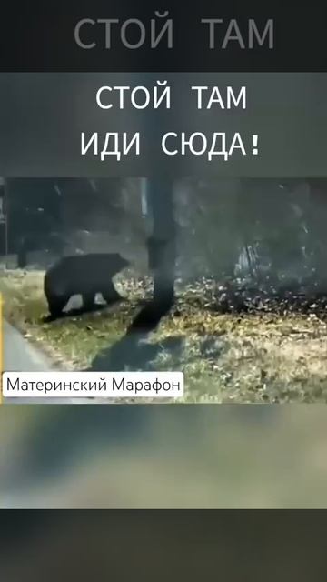 Мамы это Мамы) смотреть онлайн