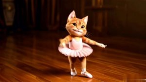 Кошка танцует