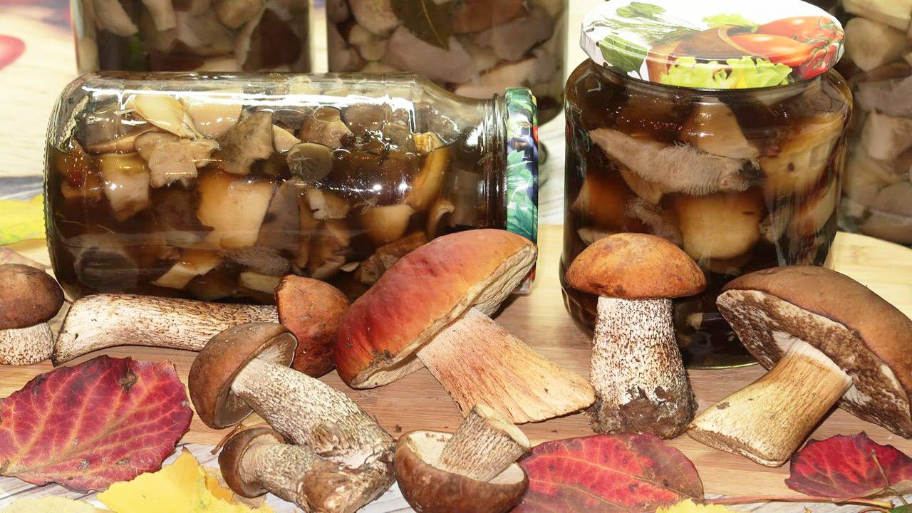 Маринованные белые грибы с подосиновиками на зиму смотреть онлайн