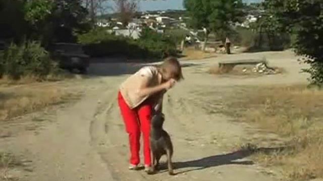 Обучение движению рядом с помощью лакомства. Уроки от Команды Азарт