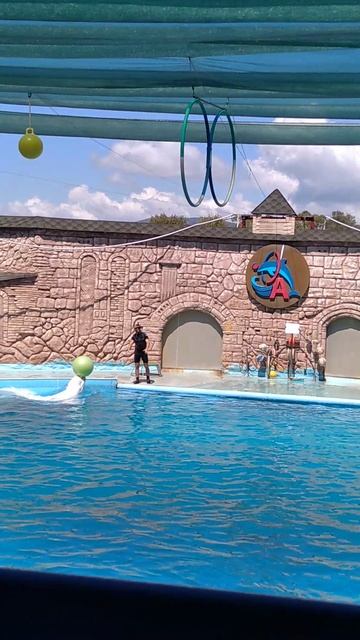 дельфинариум