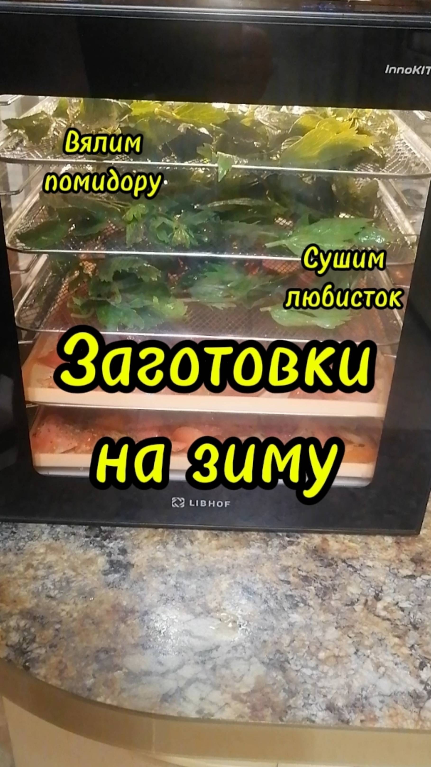 Делаем заготовки на зиму. Вялим помидору и сушим любисток. смотреть онлайн