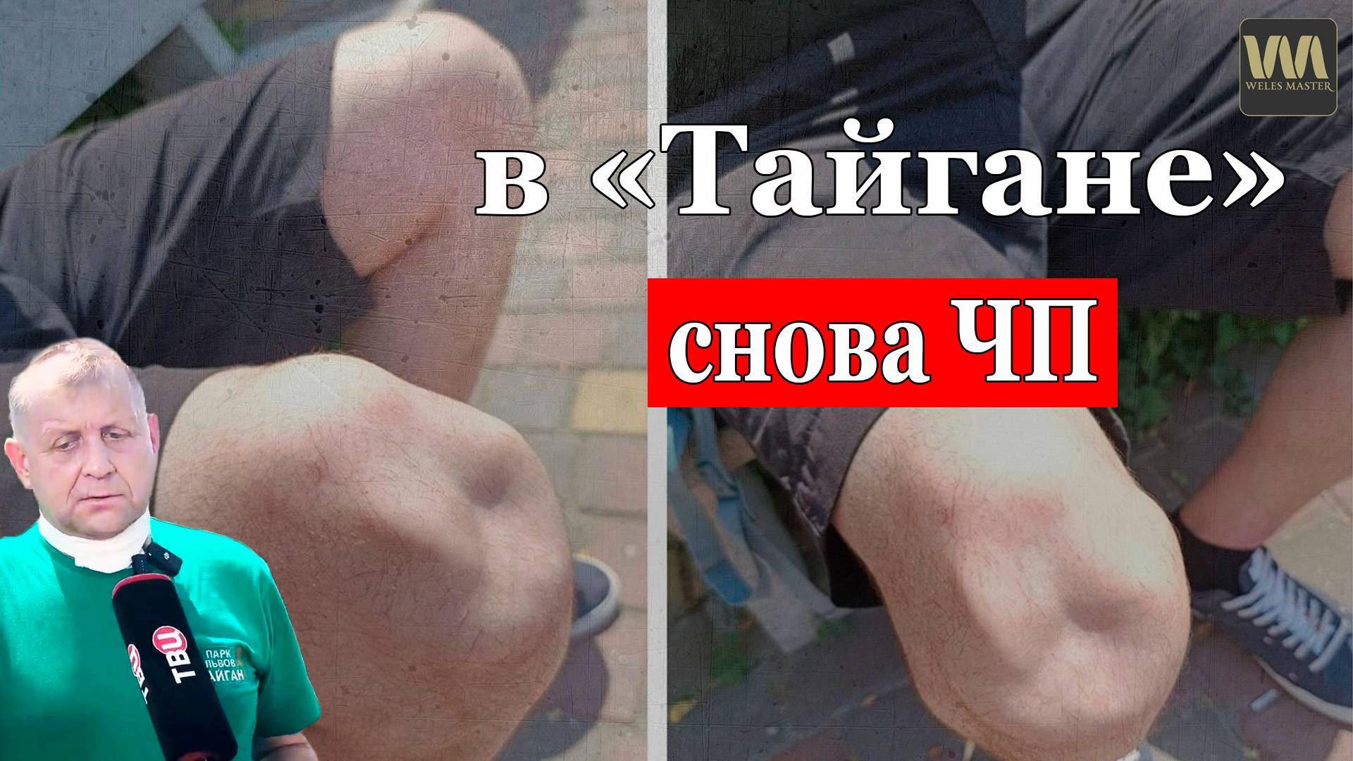 В "Парке львов "Тайган" снова ЧП, которое опять скрывает Алексагина и Зубков! смотреть онлайн