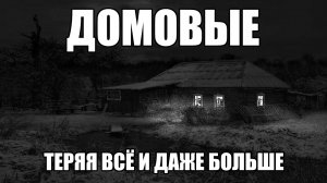Страшные истории. ДОМОВЫЕ. Теряя всё и даже больше. Часть 28.