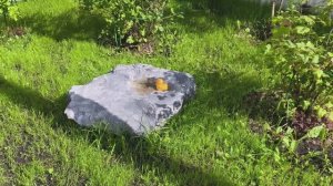 декоративный камень на люк