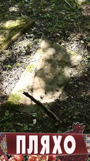 Каждый хотел друга Адыга смотреть онлайн