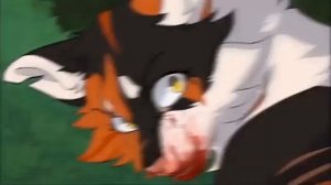 клип с кленовницей