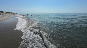 от Нессельбека до Янтарного, август 2025