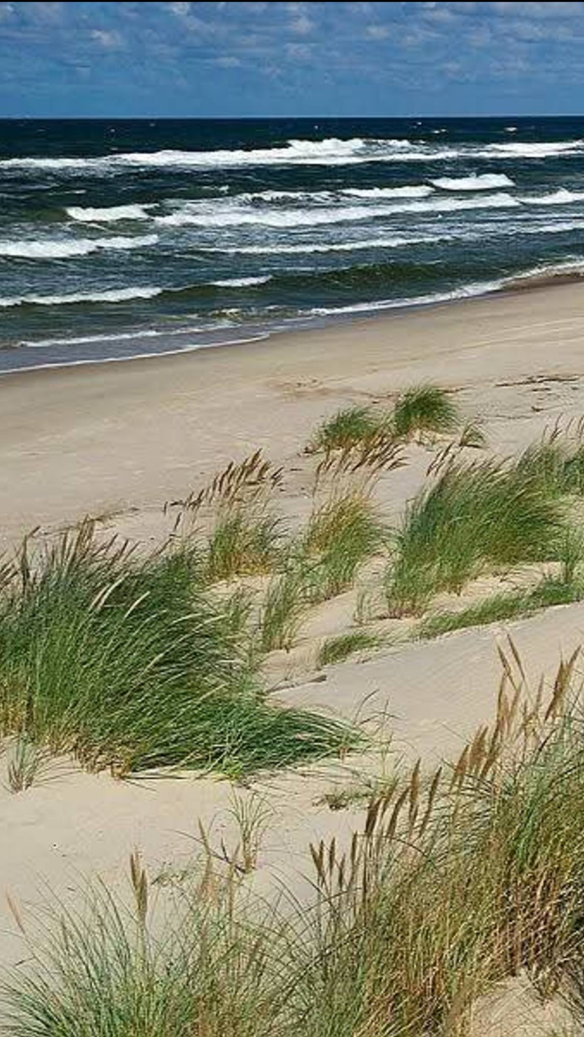 ON A BEACH WITH A QUEEN