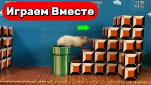 САМЫЙ УМНЫХ ХОМЯК ПОПАЛ В ЛАБИРИНТ С ЛОВУШКАМИ ДЛЯ ДЕТЕЙ 🐹